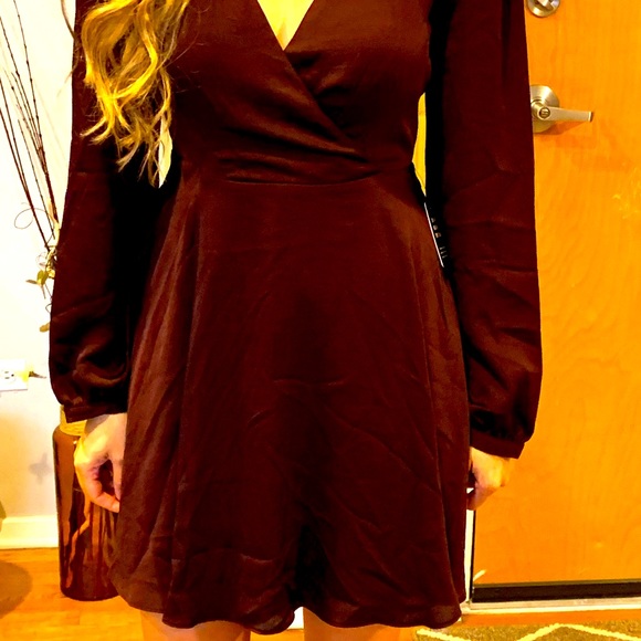 Express Dresses & Skirts - V Neck Express Long Sleeve Dress